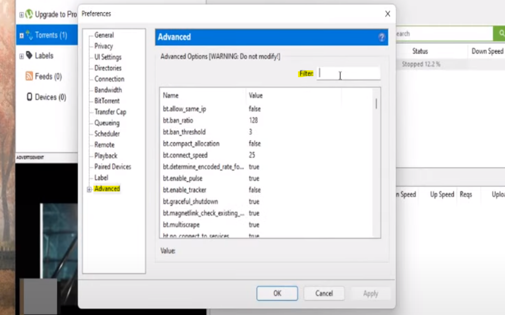 برنامج التورنت